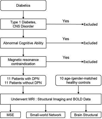 Multiscale entropy and small-world network analysis in rs-fMRI — new tools to evaluate early basal ganglia dysfunction in diabetic peripheral neuropathy